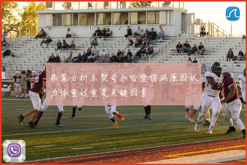 弗莱分析东契奇和哈登伤病原因认为体重过重是关键因素